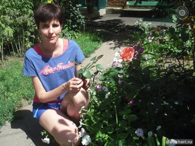 29873_osz___size__.jpg